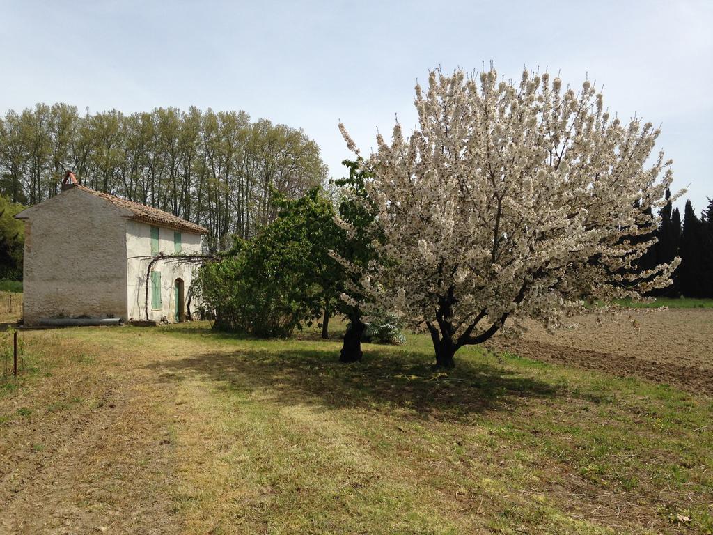 Bed and Breakfast La Maison Du Peintre En Provence Mallemort Exterior foto